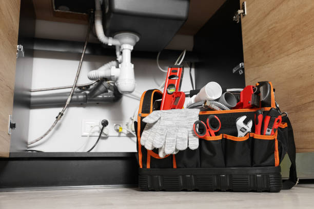 Best Clogged Drain Plumber  in Zeeland, MI